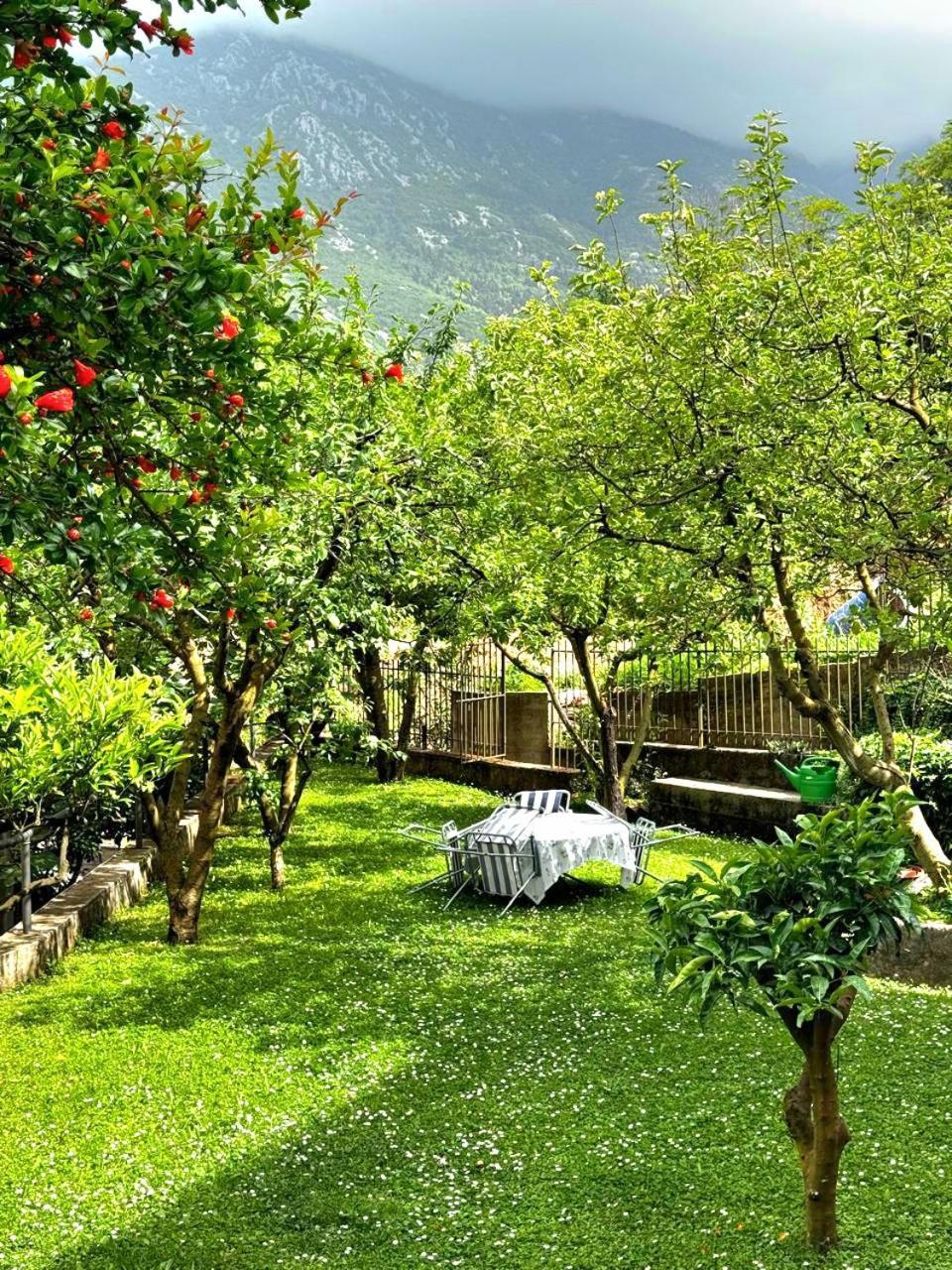 Apartments Andrija 코토르 외부 사진